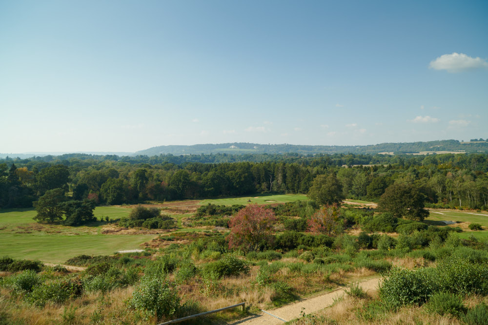 Reigate Heath, Surrey