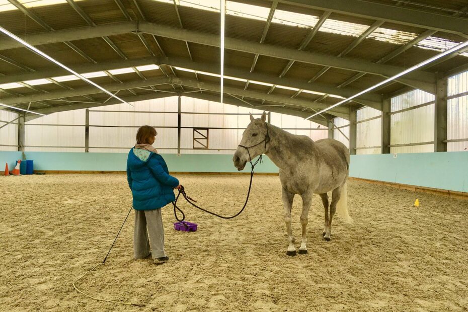 child leading horse with bridle