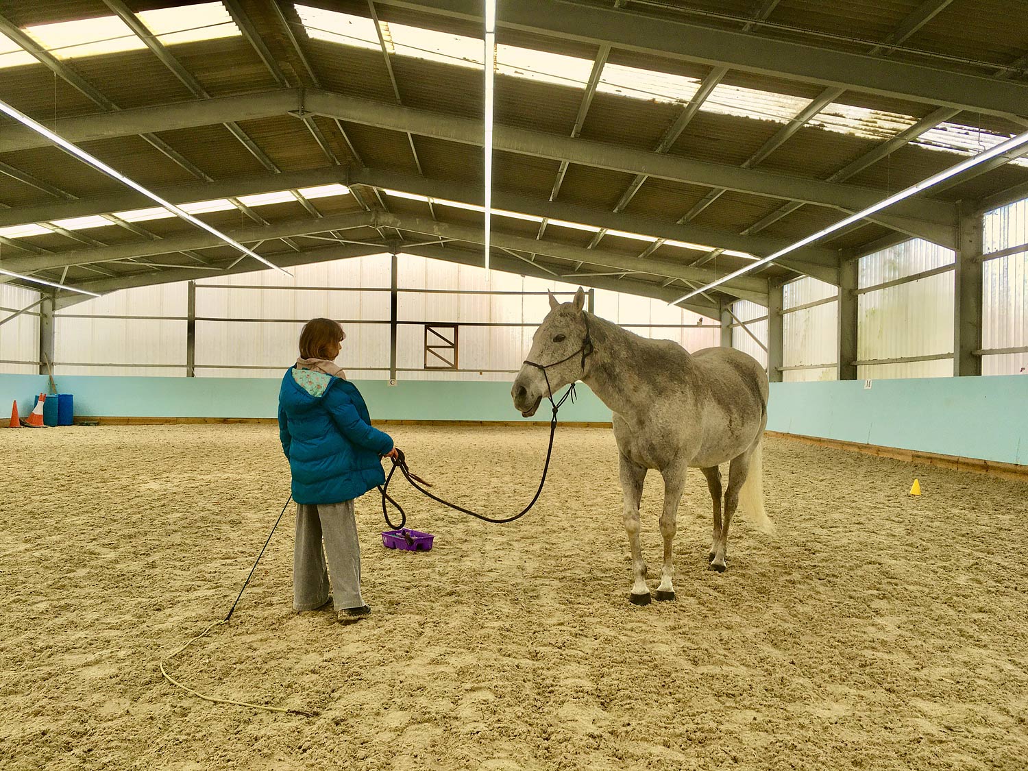 child leading horse with bridle